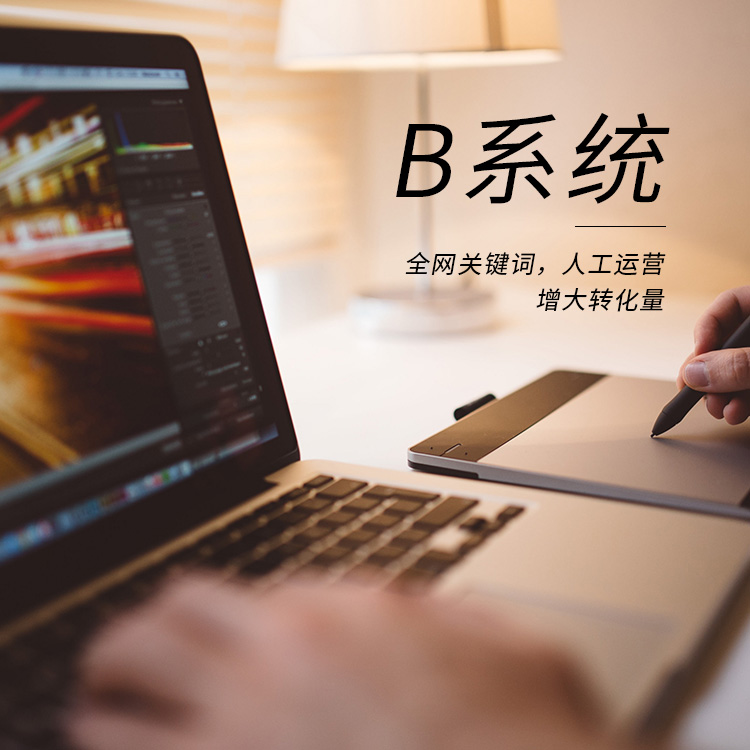 B系統